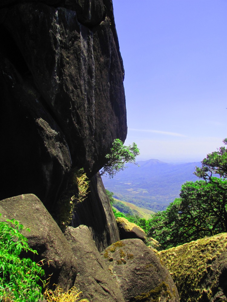 Pakshipathalam
