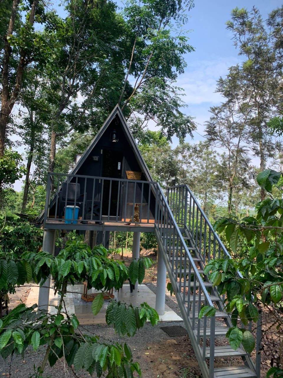 A-Frame Prime Huts